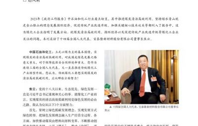 打破傳統(tǒng)走綠色轉(zhuǎn)型之路——訪十四屆全國(guó)人大代表、寶泰隆新材料股份有限公司董事長(zhǎng)焦云