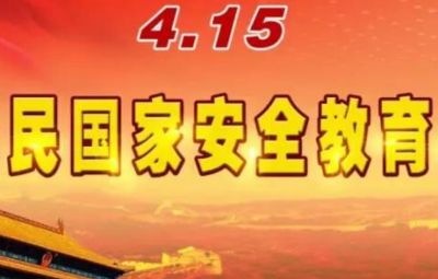貫徹總體國家安全觀 把平安中國建設推向更高水平